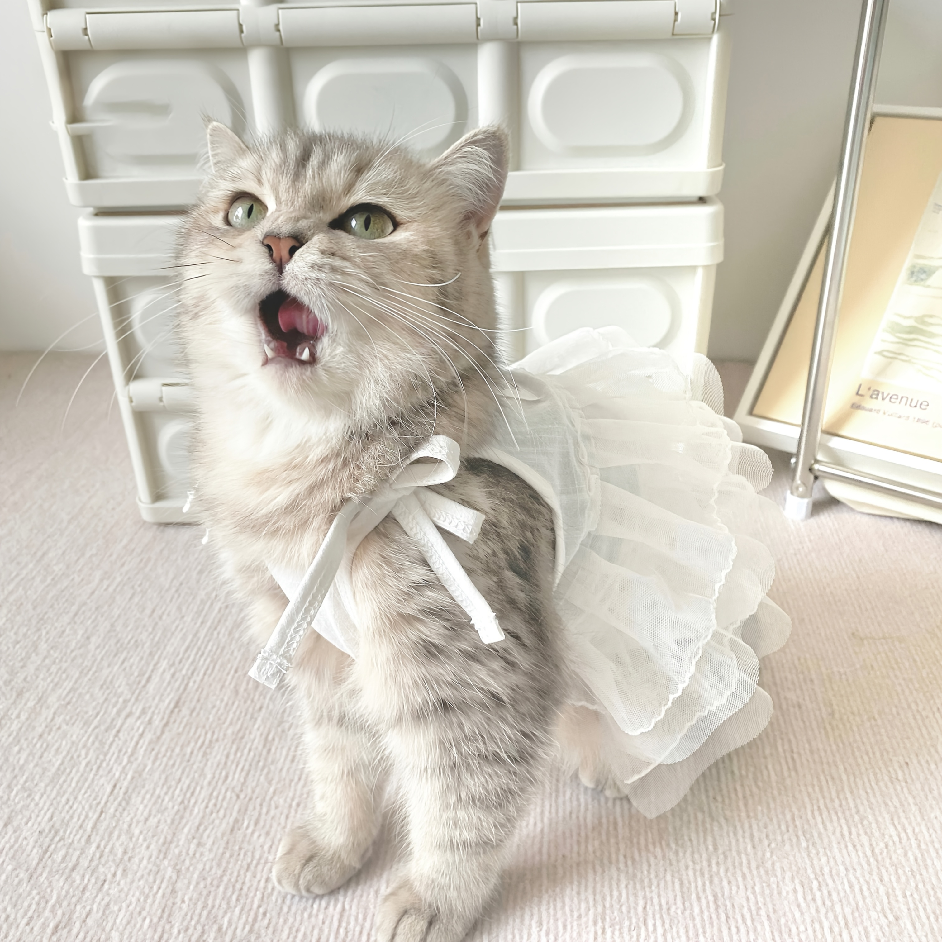 white christmas dresses Cute Cat Chef Cap Costume main image 1