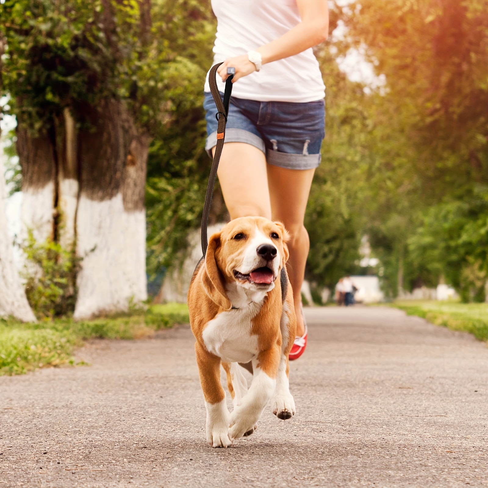 Reflective Dog Leash for Small, Medium, and Large Dogs