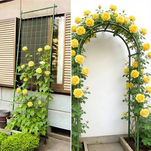 2 juegos de redes de soporte para plantas trepadoras, 100 cm (39.3x70.8 pulgadas), malla de para hortalizas de jardín, adecuada para judías, guisantes, pepinos, tomates y diversas enredaderas con flores para trepar y ; diseñadas para jardines domésticos, patios exteriores, granjas
