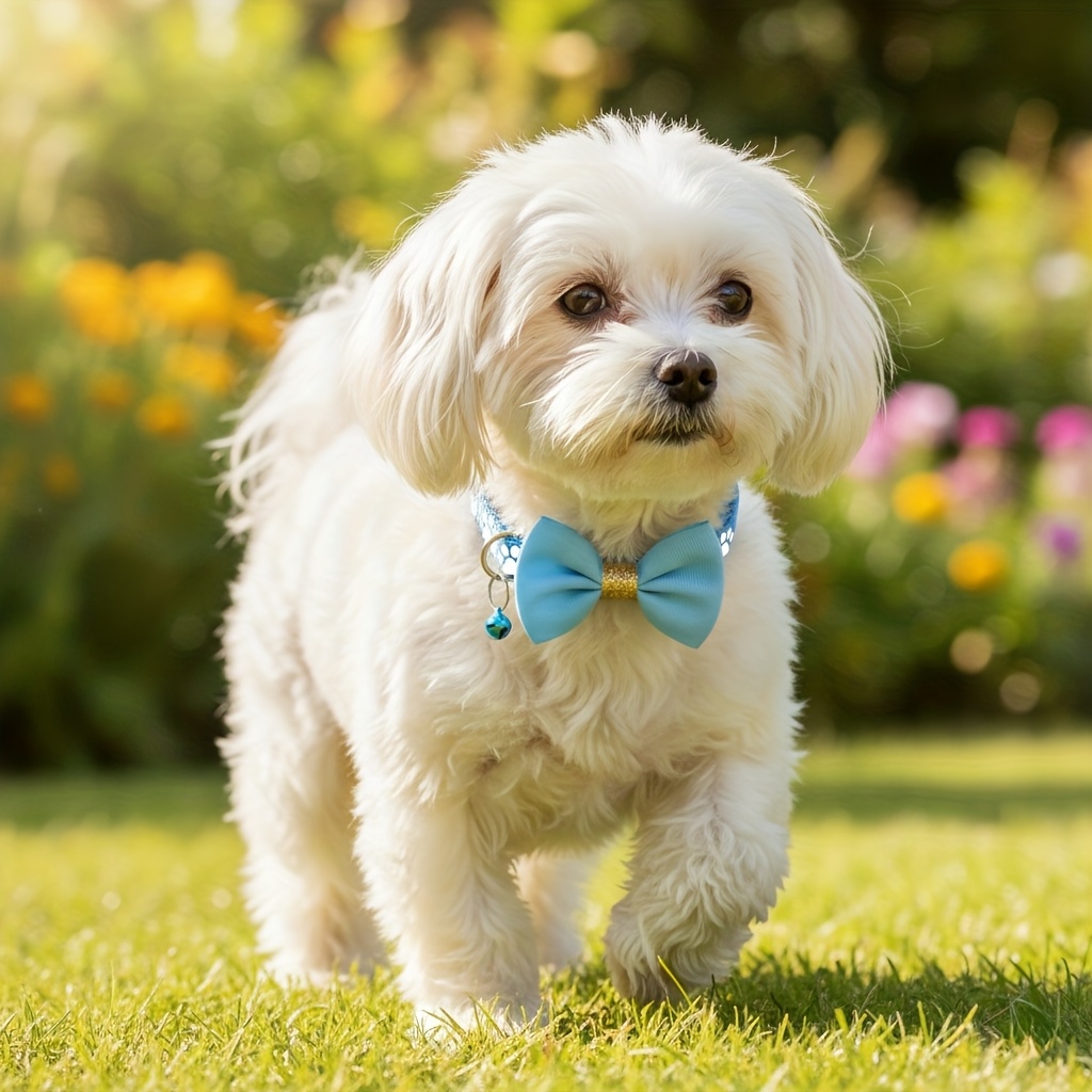 1pc pet collar with adjustable cute bow tie collar design   black gray brown with paw print pattern durable polyester material suitable for small and large dogs and cats for daily use and special Product details 6