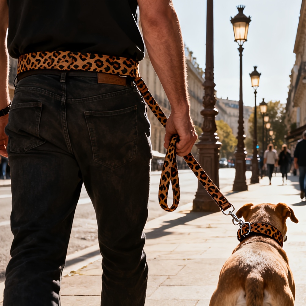 Multi-Functional Dog Collar and Leash Set for Outdoor Walks