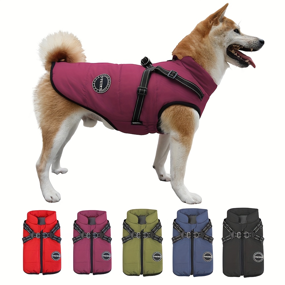 Wintermantel Für Kleine Hunde & Katzen – Weiche, Warme Jacke Mit Reißverschluss, Wasserfest & Kuschelig