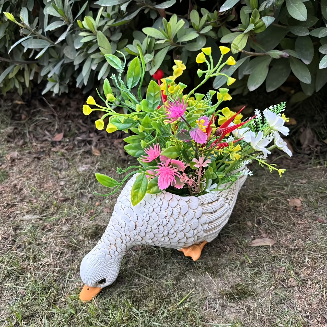 african breeze plant Summer Breeze Dahlia Tuber  Love Dahlias