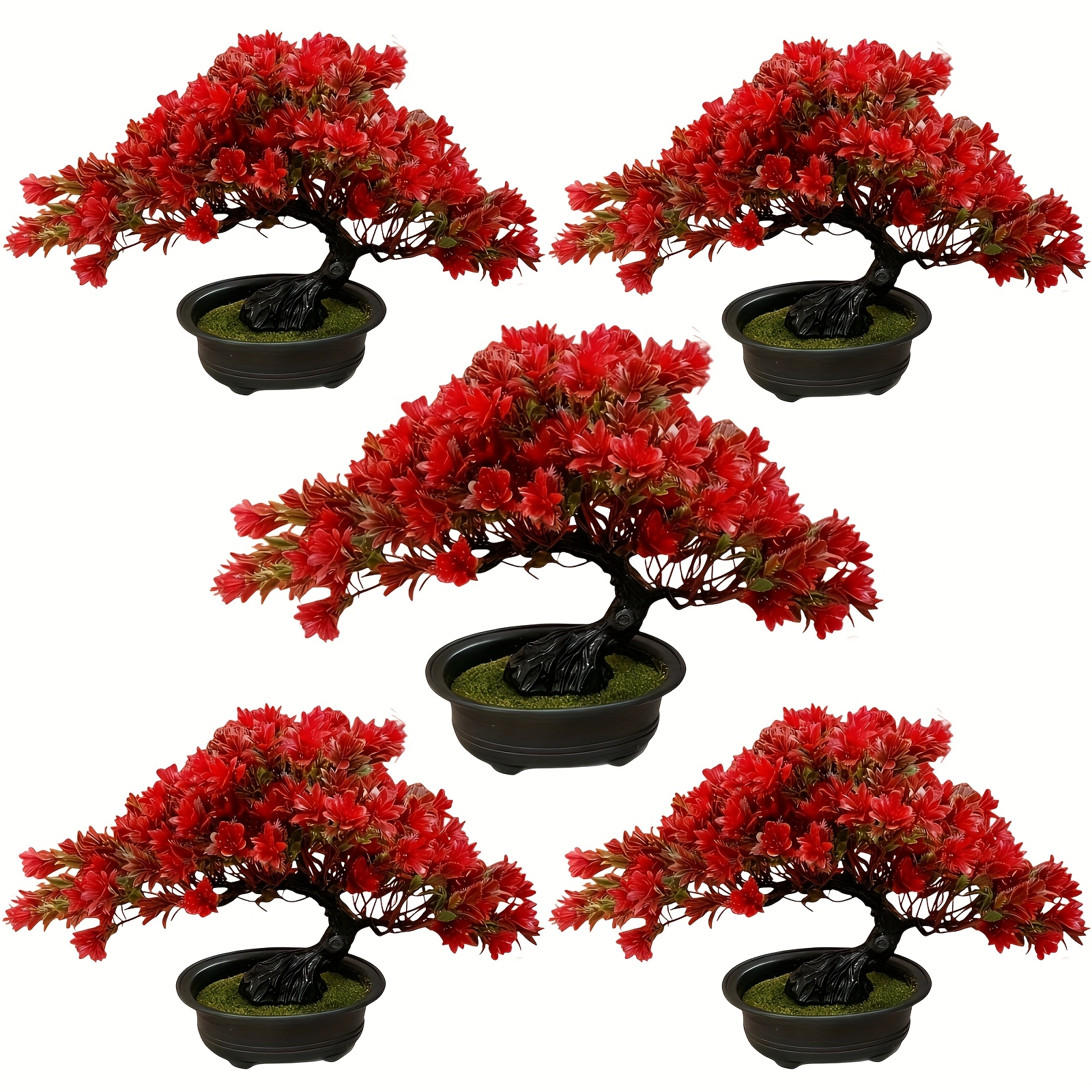 bonsai trees indoor sold on Temu United States