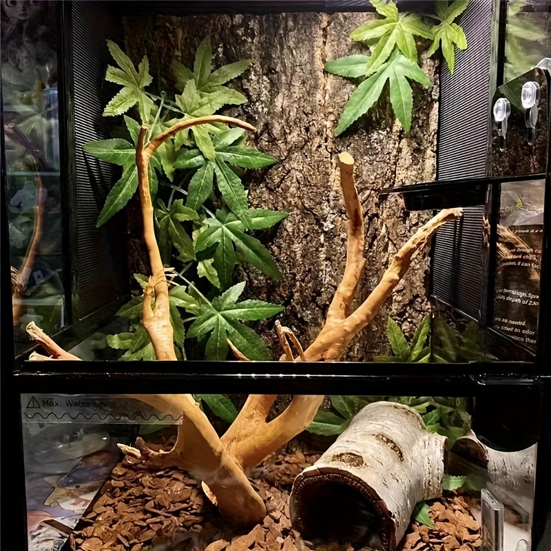 Aazon.co : Reptile Habitat Background; Rain Forest, For 48Lx18Wx24H