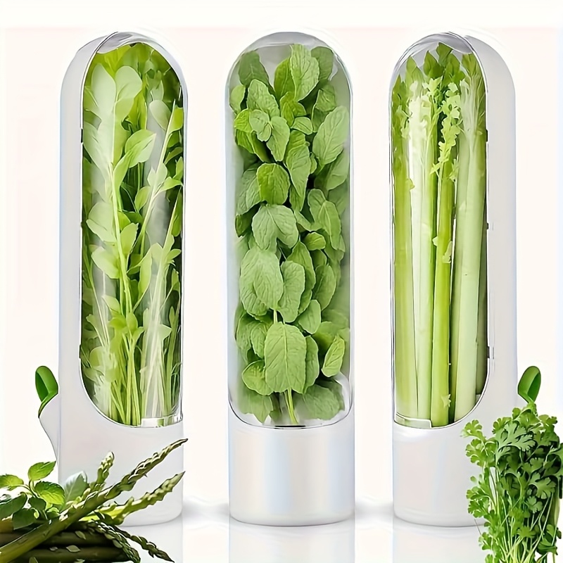 1pc/3pcs And Vegetable Fresh-keeping Cup - Suitable For Mint, Parsley, Coriander - High- Storage Container For Fridge Organization