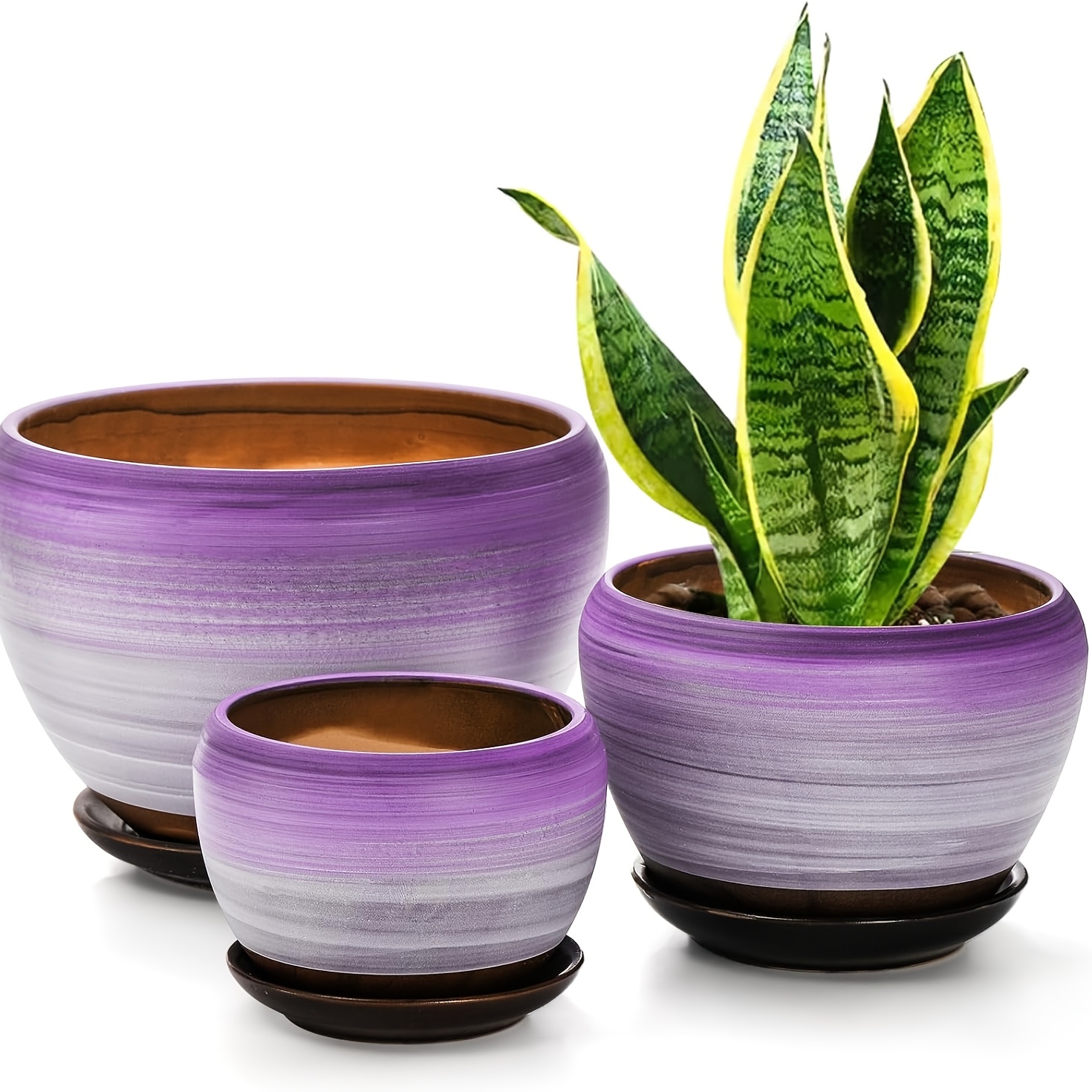 TEMU 3pcs Set Of Purple Flower Pots With Drainage Holes And Trays, Purple Round Ceramic Old Stump Pothos Coarse Pottery Succulent Planting Pot Set,