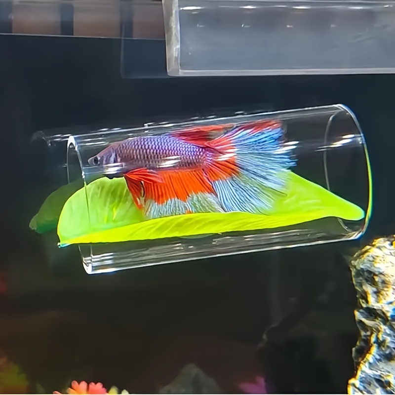 TEMU 1pc Transparent Betta Tunnel, Serving As A Hiding And Resting For Fish, And A Exquisite Decoration For Aquariums