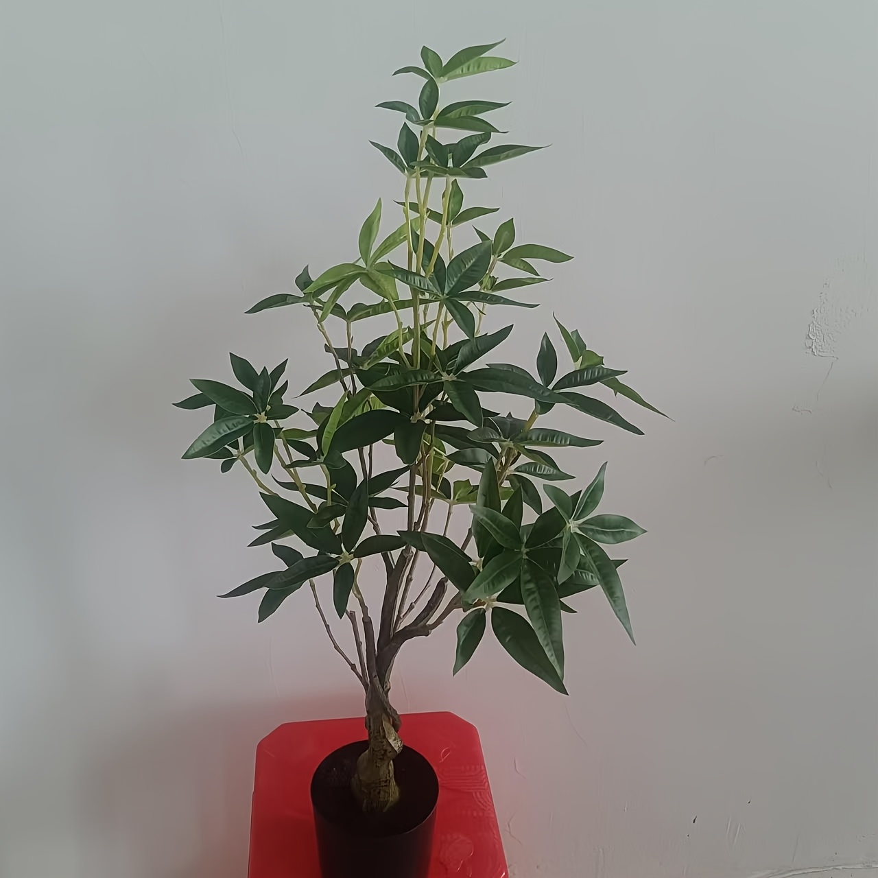 Knstlicher Geldbaum mit Topf  Realistischer grner Kunstbaum ideal fr  Einweihungspartys, Hochzeiten, Geburtstage, Weihnachten, Mutter-/Vatertag   Pflegeleichte Zimmerpflanze, ganzjhrige Dekoration ...