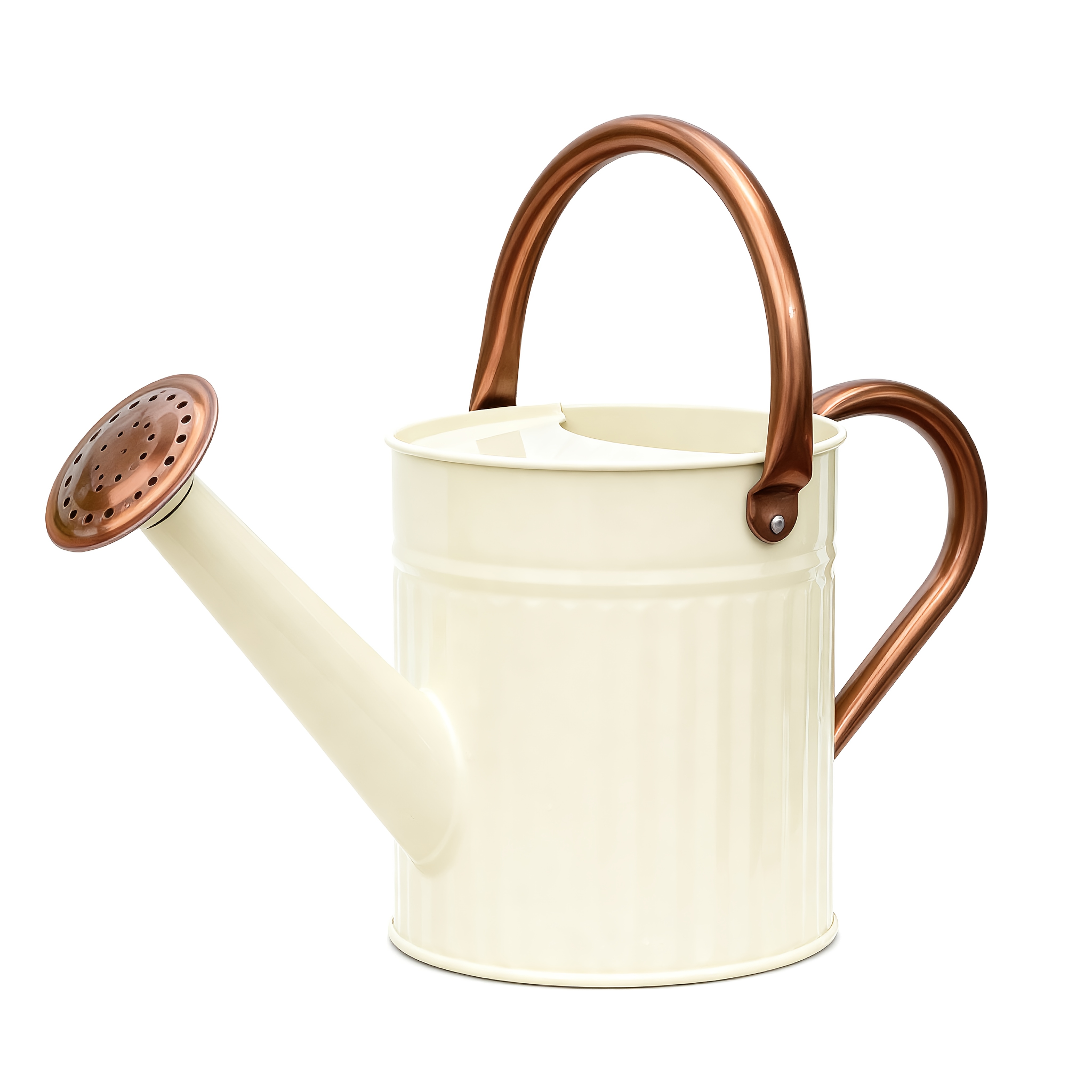 TEMU Bamworld 1/2 Gallon Cream Metal Watering Can For Indoor & Outdoor Plants - Stainless Steel With Removable Spout, Plant Watering Device, Perfect
