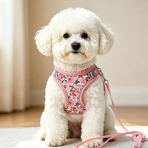 adjustable dog harness and leash system with soft mesh vest suitable for small pets harness for puppies kittens leash compatible for dogs and cats pulling during walking hand washable design