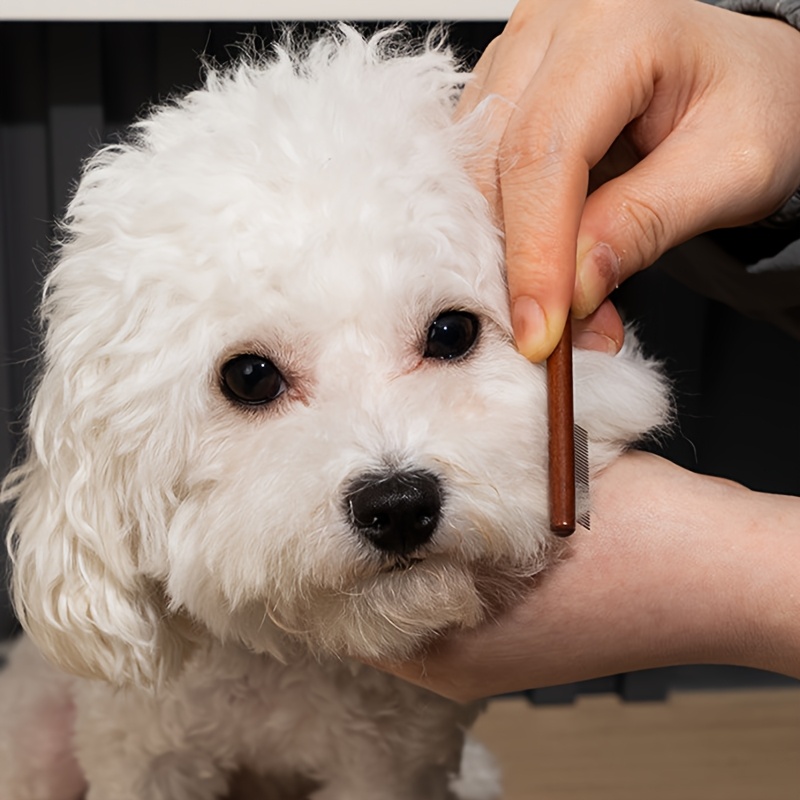 2pcs pet eye     dog pet tear stain comb cat small dog eye hair cleaning special comb comfortable massage non irritating skin cleaning eye dirt maltese yorkshire terrier shih tzu styling comb Product details 4