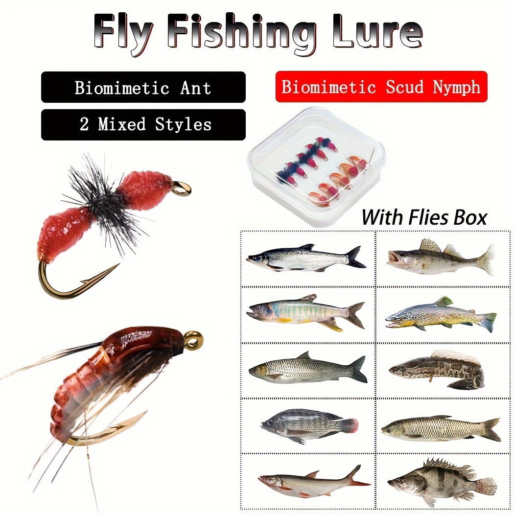6/10 Stck * Nymphen Fliegenfischen Kder Trocken Nass Kder Fliegen  Nymphen & * Angelkder Knstliches Insektenkder mit Box
