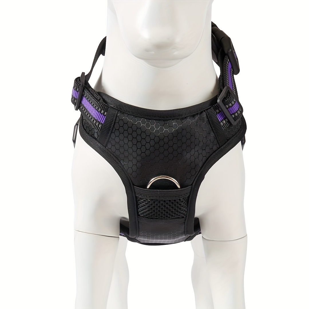 All-in-One Dog Harness, Collar, and Leash Set