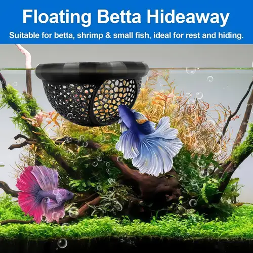 aquarium accessories sold on Temu United States aquarium accessories sold on Temu United States