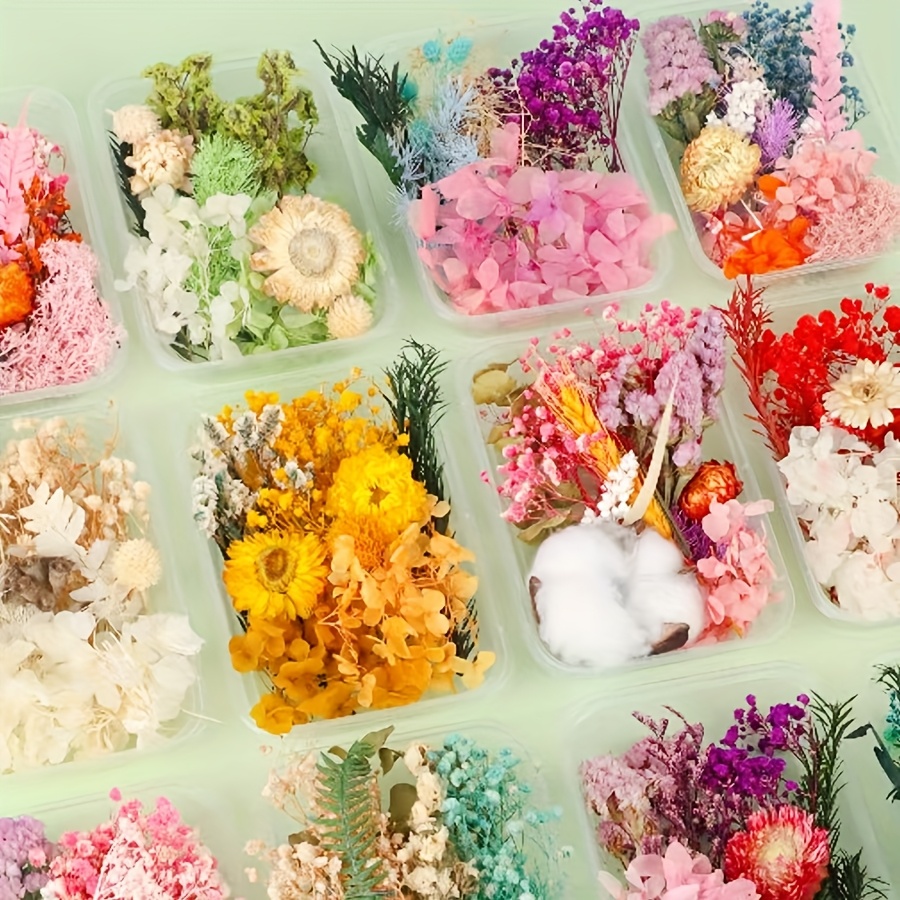 Preserved Flower DIY Kit with 8-10 Flower Types, Photo Frame, Candle, Aromatherapy, Soap, Straw Hat Materials, Gift Set