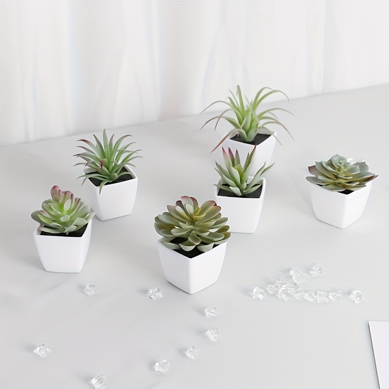 citronella plant mosquitoes The Mosquito Trio! A Collection of 9 Mosquito Repellent Plants main image 0