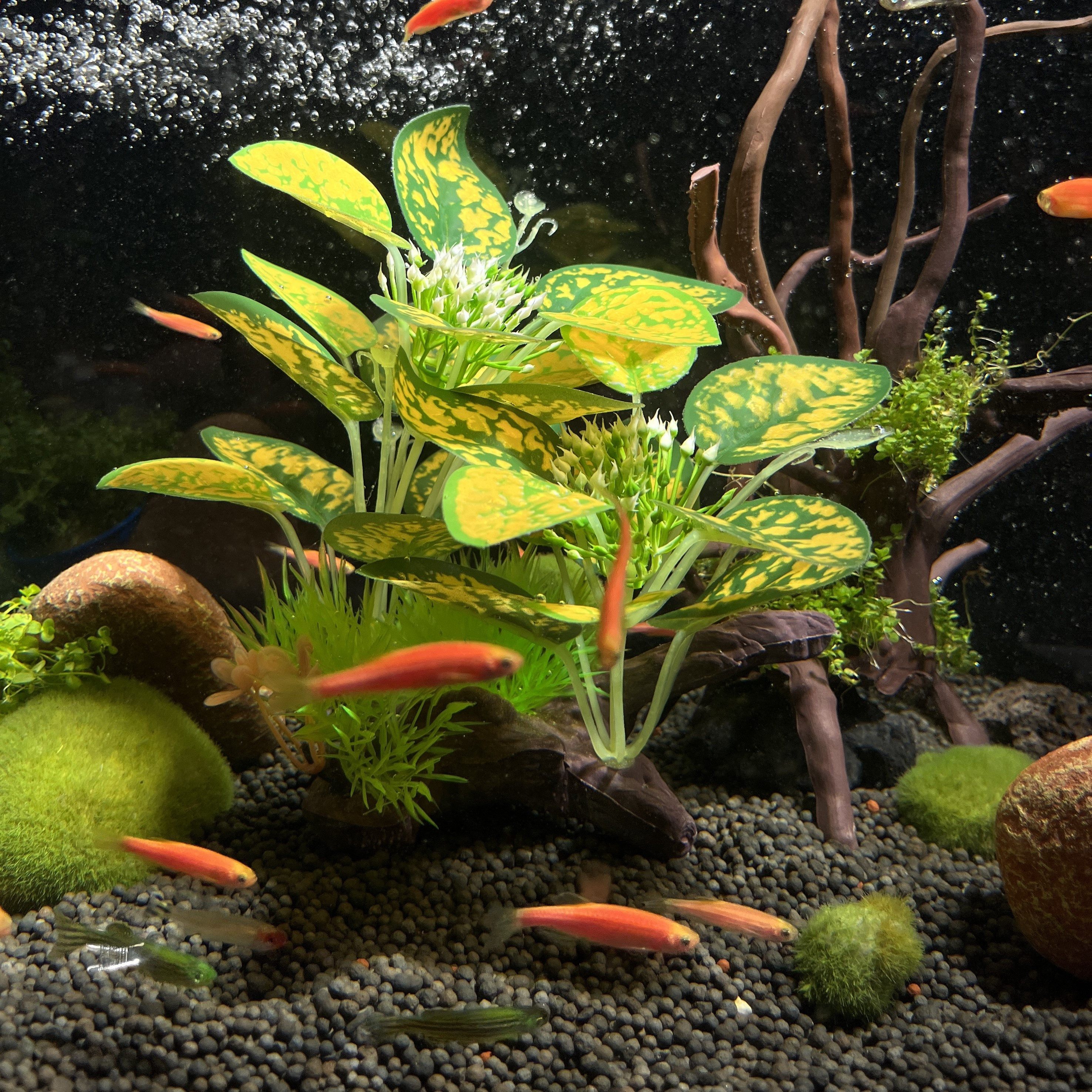 その他 L.L Toyvian Artificial Plastic Aquarium Plants – Orange, 9