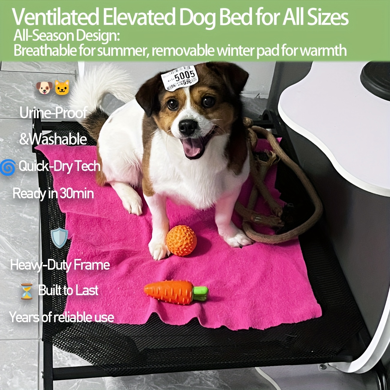 original cooling elevated dog bed indoor outdoor use full Temu