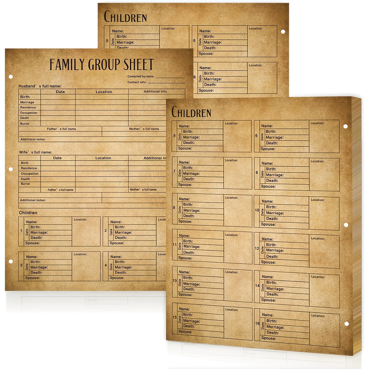 TEMU 20 feuilles de généalogie pour famille de 3ème génération, 3 trous, 8,5 x 11 pouces, tableaux de généalogie à , feuilles de travail de pour d'
