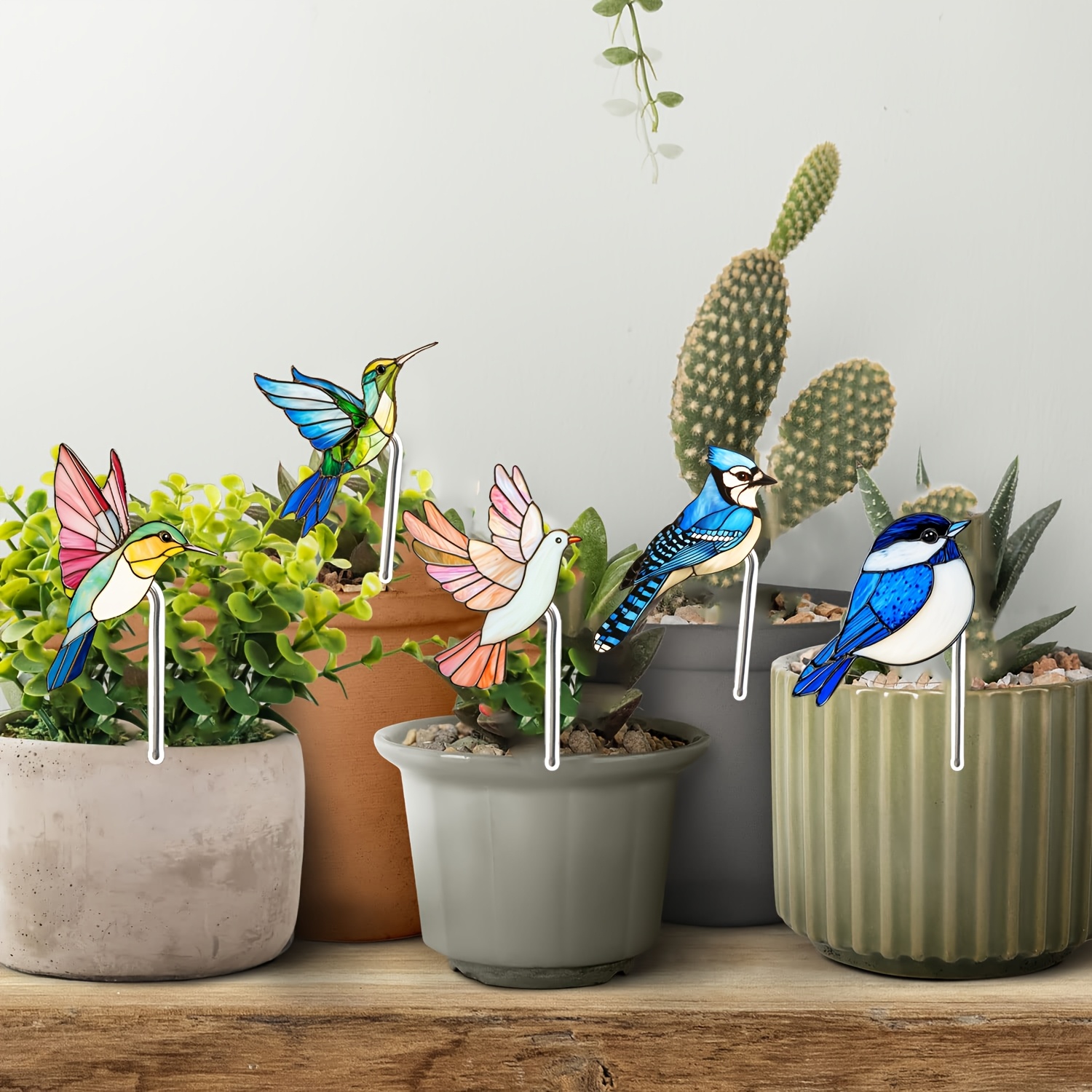 TEMU 【2d Flat】 [2d Flat] 5pcs Acrylic Bird Plant Signs Creative Gardening Insert Markers Garden Decor Signs