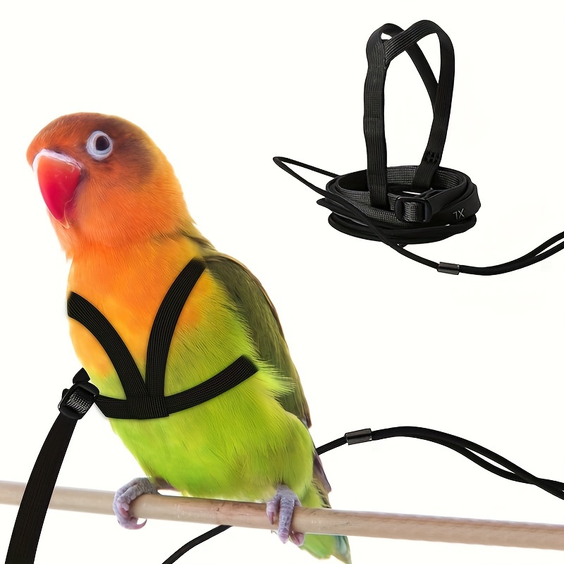 Parrot Harness Aviator Harness And Leash Adjustable Bird Harness