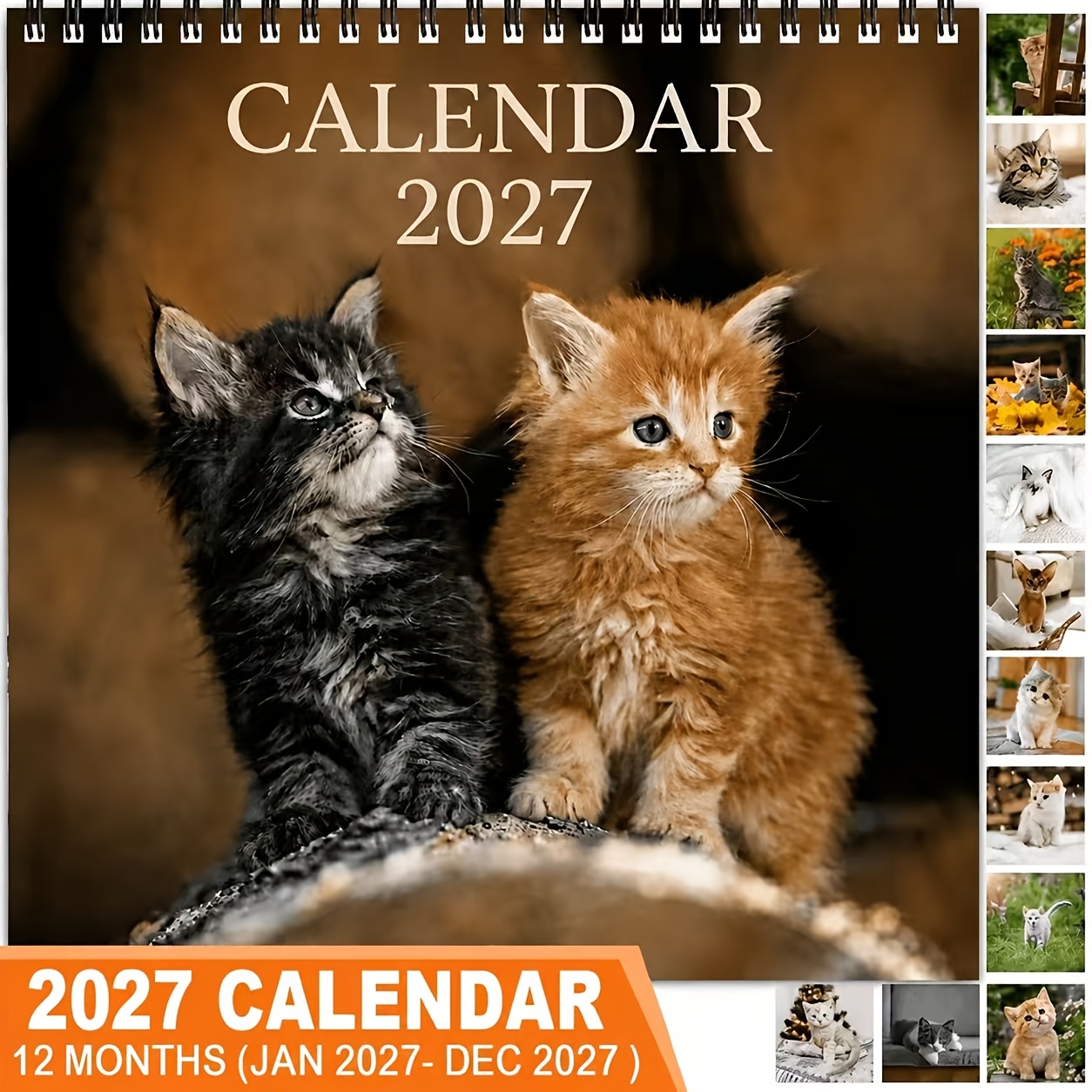 TEMU 2027 Full Year 12 Months Wall Calendar, 2 Fluffy Kittens Sitting And Playing, Lightweight Scrollable Design, Easy To Hang, No Pressure, Large