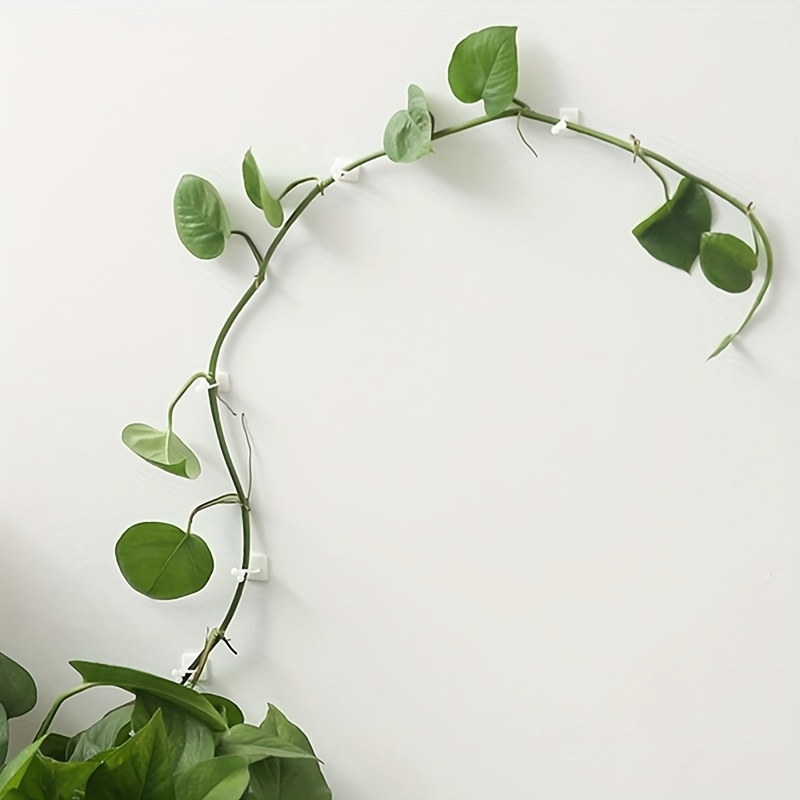 90pcs garden plant climbing wall clips self   vine holders for securing plants to climbing walls Product details 0