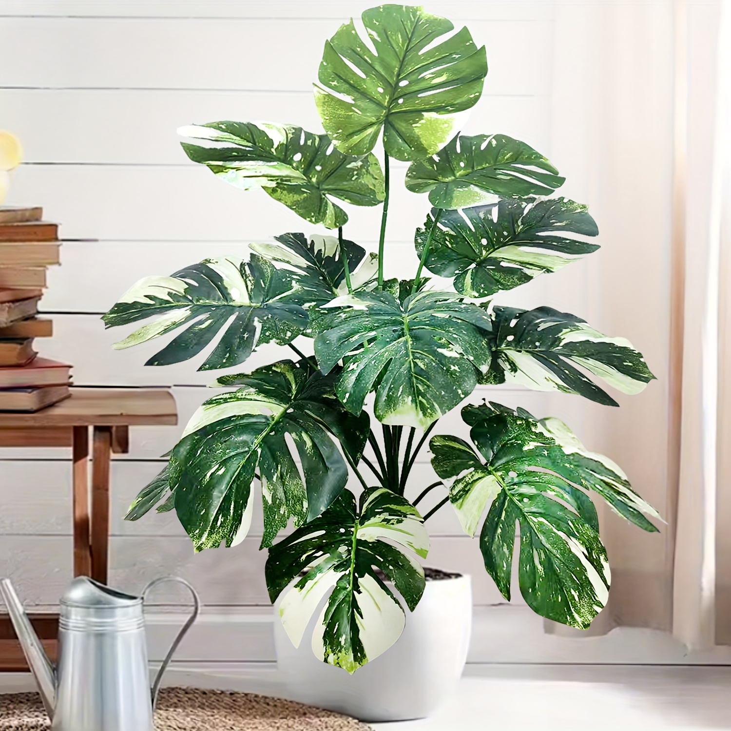 breadfruit plant Breadfruit Live Plants (Artocarpus Altilis) – HappiestPlants main image 1