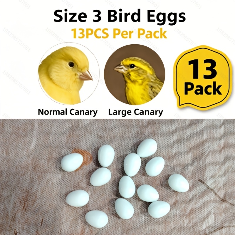 TEMU 13pcs Solid Simulation Bird Decoy Eggs, Pet Bird Breeding Dummy Eggs For Canary Budgie Cockatiel Quail