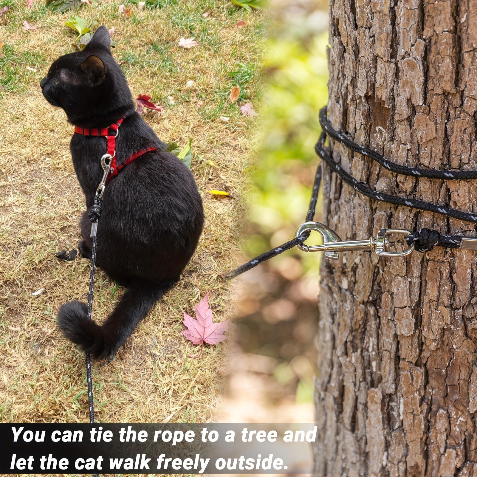 long cats small dogs 6m 15ft 9m 30ft escape Temu