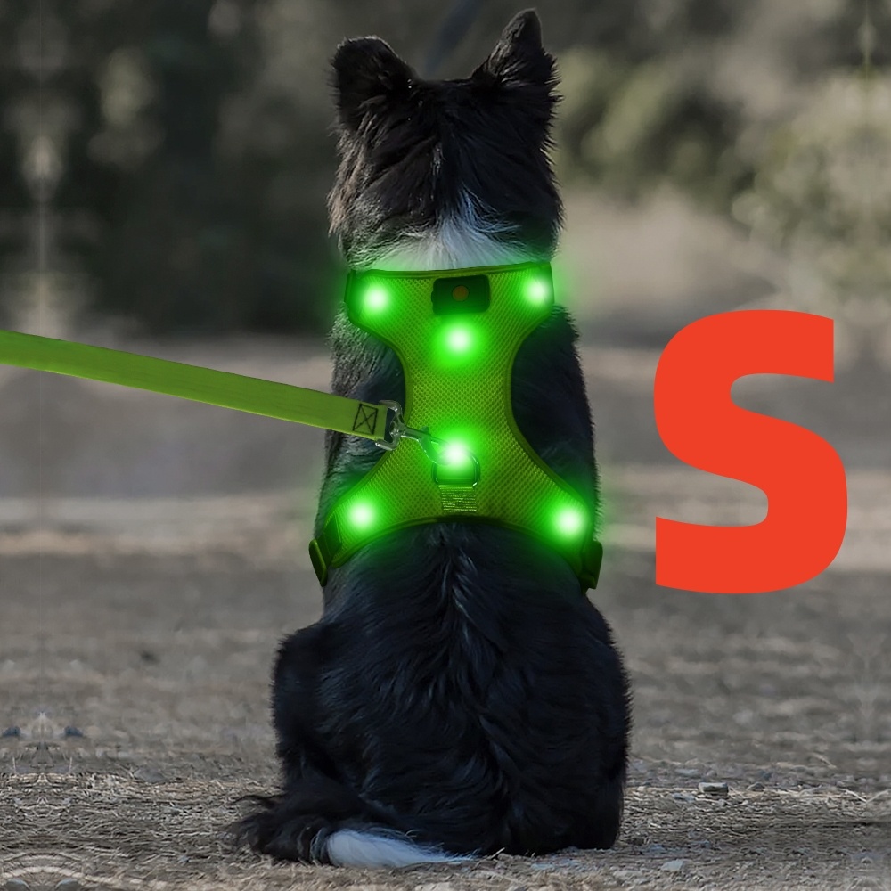 TEMU Pettorina LED per Cani - Pettorina -Trazione con Batteria Rimovibile - Gilet LED Ricaricabile e Lavabile - Pettorina Luminosa per Passeggiate e