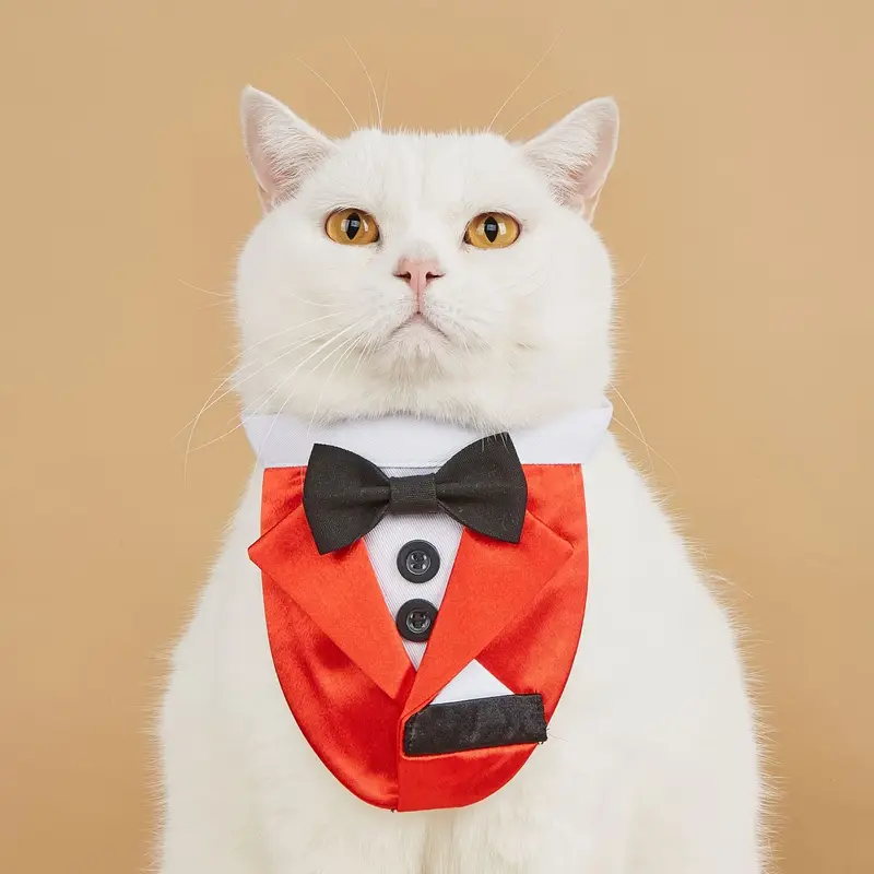1pc pet bow cat wedding bow tie festival party - Temu Mauritius 1pc pet bow cat wedding bow tie festival party - Temu Mauritius