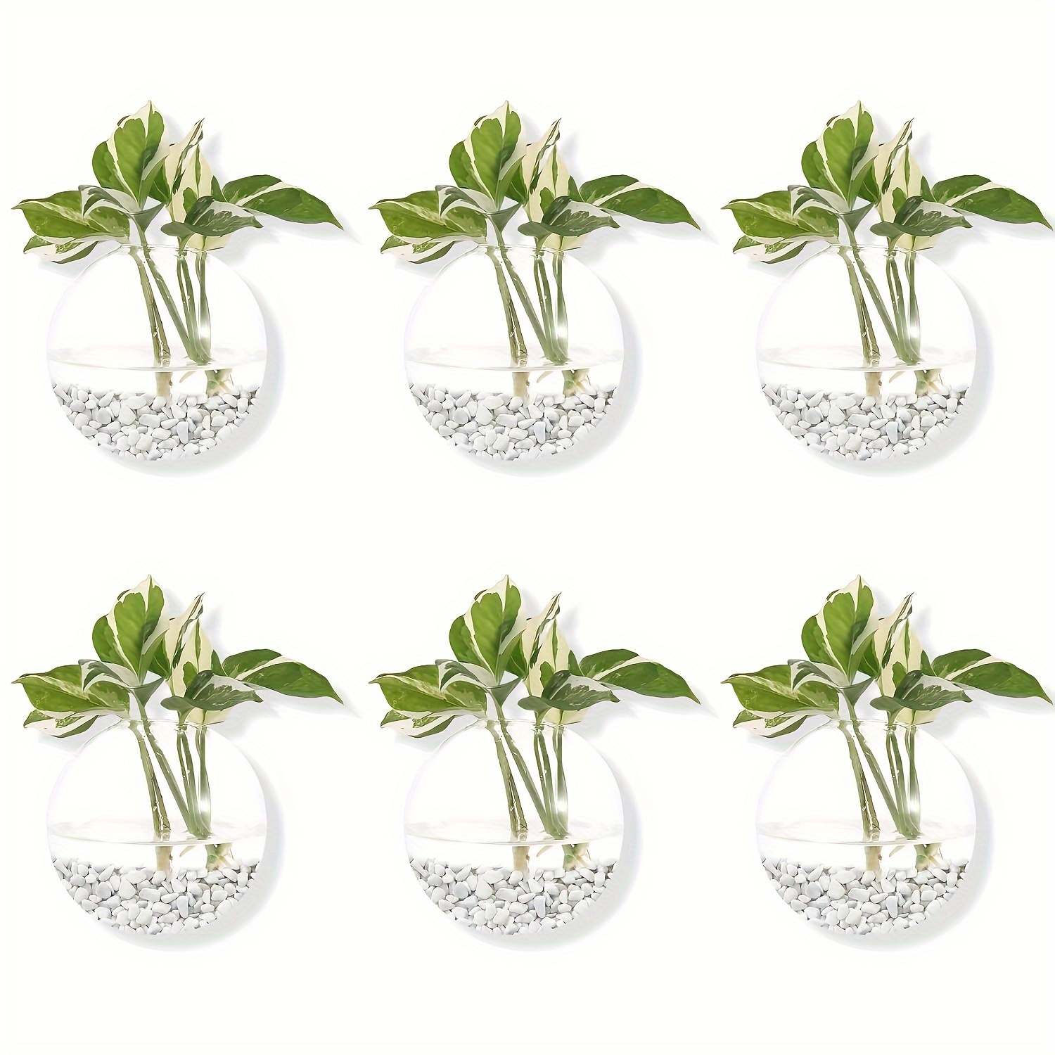 

6pcs de Fleurs en Verre, de Fleurs Suspendus au Mur, de Fleurs en Verre, de Fleurs Suspendus à , Vases, Aquariums Plantes à Air, Conteneurs de Plantes Suspendus au Mur