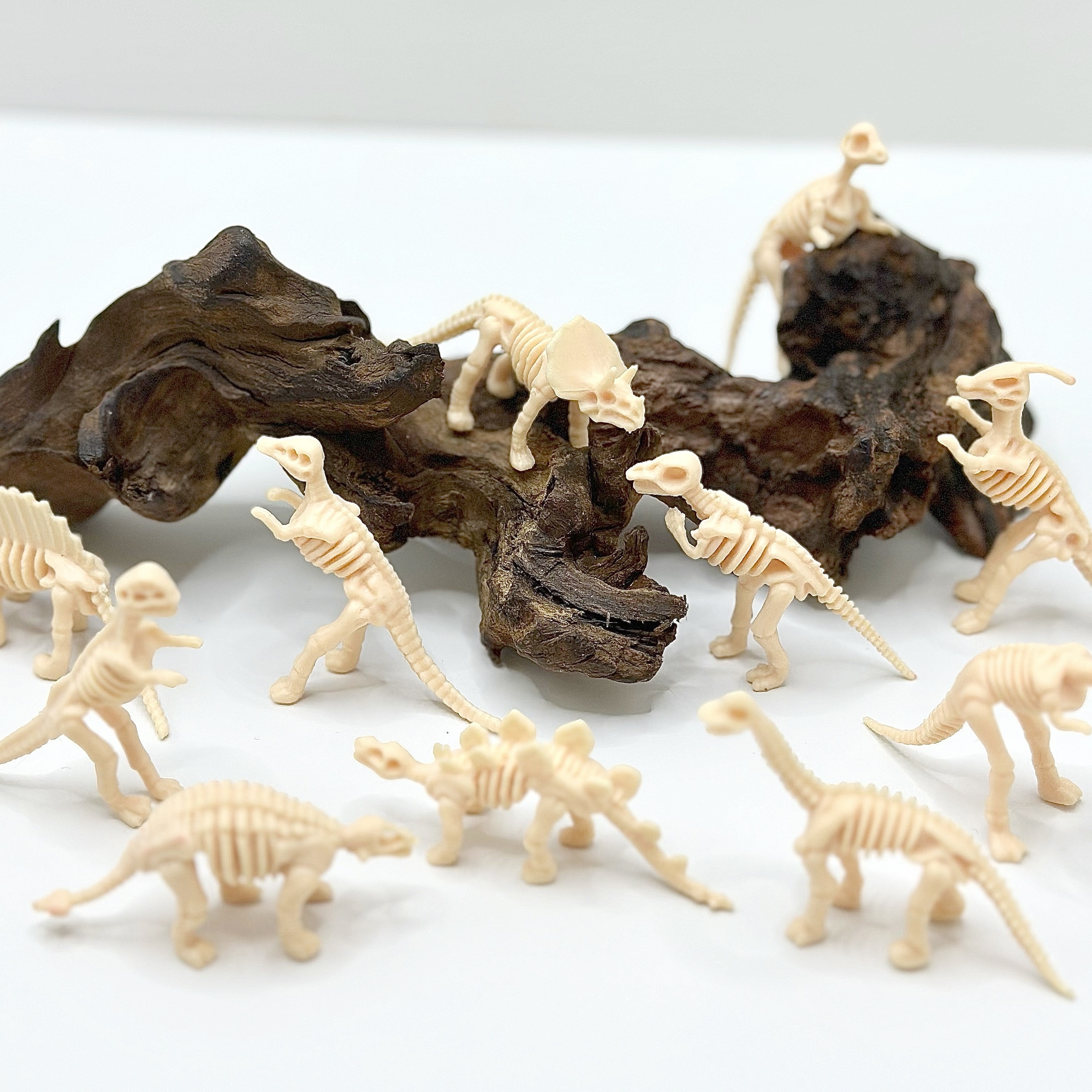 

20pcs Dinosaur Skeleton Figures - Educational Fossil Playset For Kids, Dinosaur Toy Set, Science Kit, Party Favors, Birthday Gifts