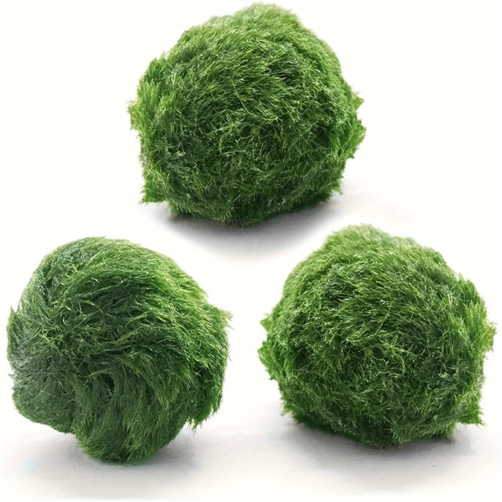 

6pc Living Green Balls For Viewing Real Aquatic Plants Fish Tanks Decoration Seaweed Balls Bottles Seaweed Balls 4cm 10ml