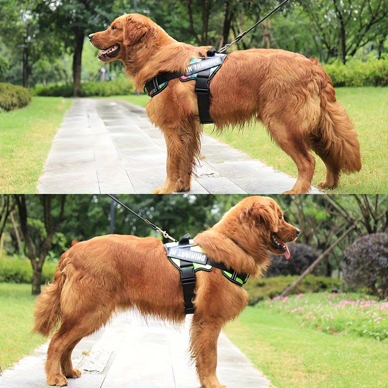 Adjustable Reflective Nylon Dog Harness, No Pull Vest