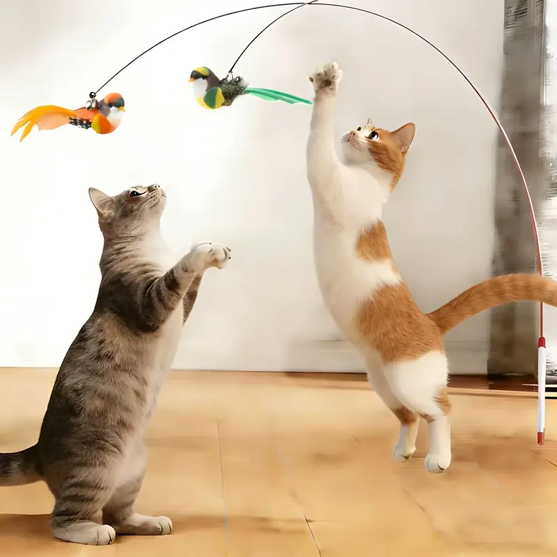 Kattenteaser Met Verstelbare Siliconen Halsband – Veer En Bel, Interactief Speelgoed Voor Binnenkatten, Geschikt Voor Alle Leeftijden