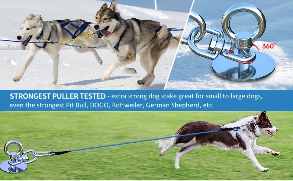 Hundepfahl 360° Drehbar – 304 Edelstahl, Für Große Hunde Bis 90 Kg, Mit Griff & Haken