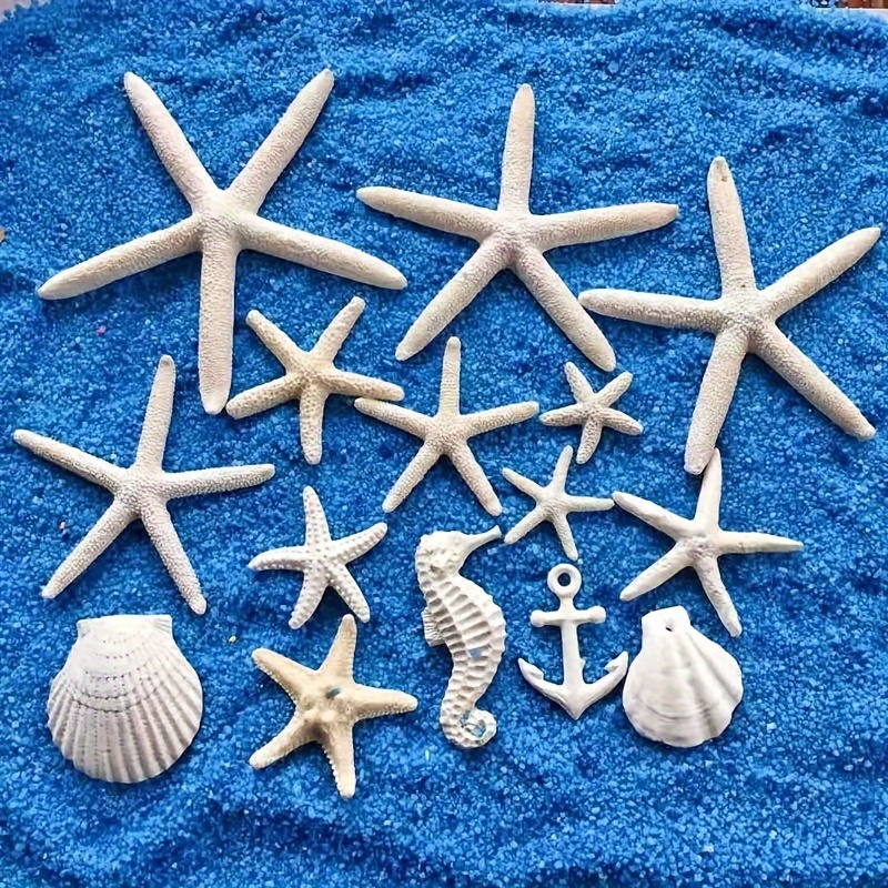 Ocean Inspired Aquarium Decorations Natural Sea Shells Conch Shells White  Coral And Starfish Ornaments - Pet Supplies - Temu Canada