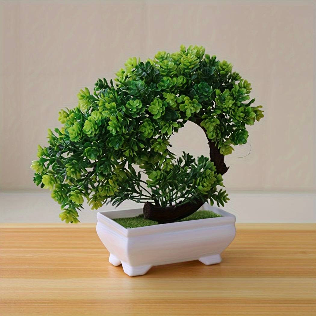 pine tree bonsai office decor - Temu