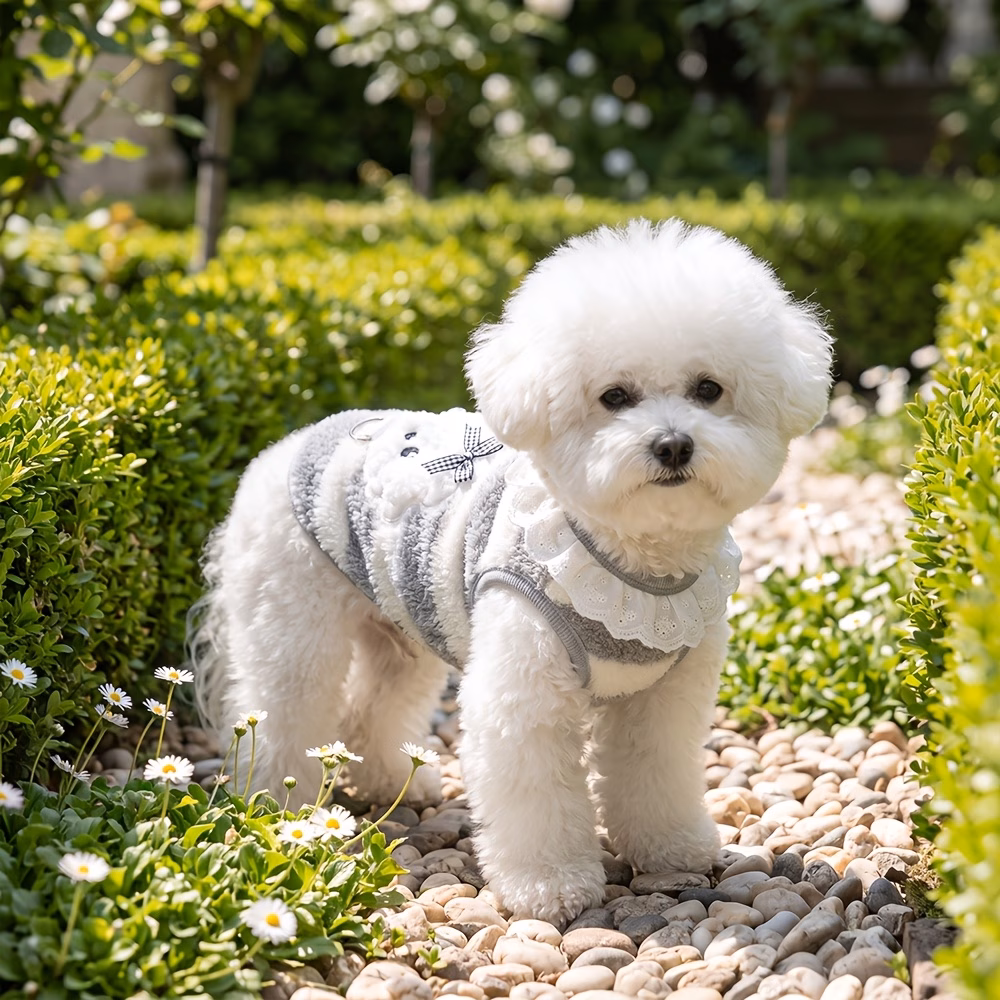 thick striped soft plush dog vest metal d shaped traction ring keeping warm indoors and outdoors in autumn and winter suitable for small and medium sized dogs such as marzis and bichons Product details 6