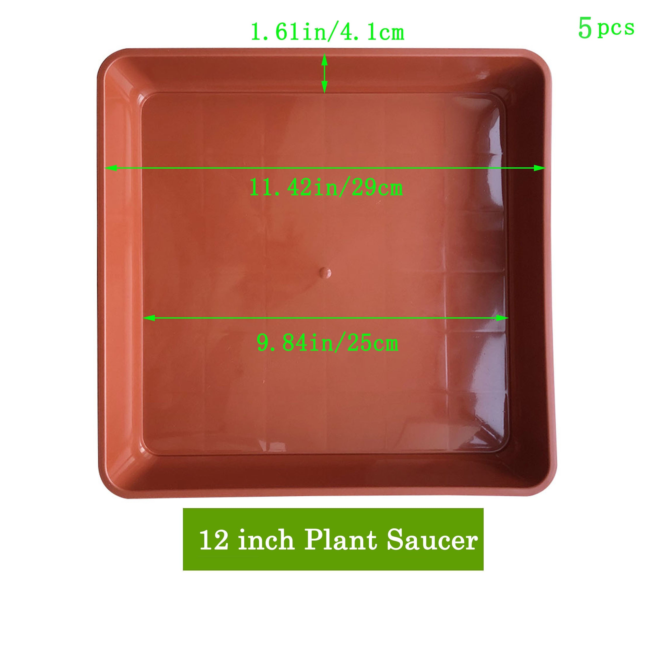 buy monstera plant Monstera deliciosa 4in Split Leaf main image 1