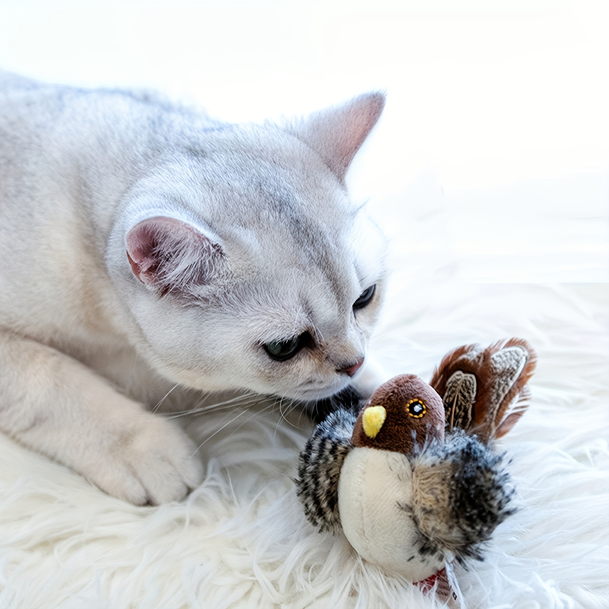 

Squeaky Feathered Bird Cat Toy - Interactive Play And For Kittens, No Battery Needed, Ideal For Medium Breeds