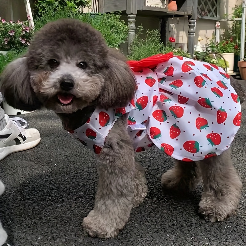 dog dress sequin skirt gauze skirt sleeveless - Temu Czech Republic
