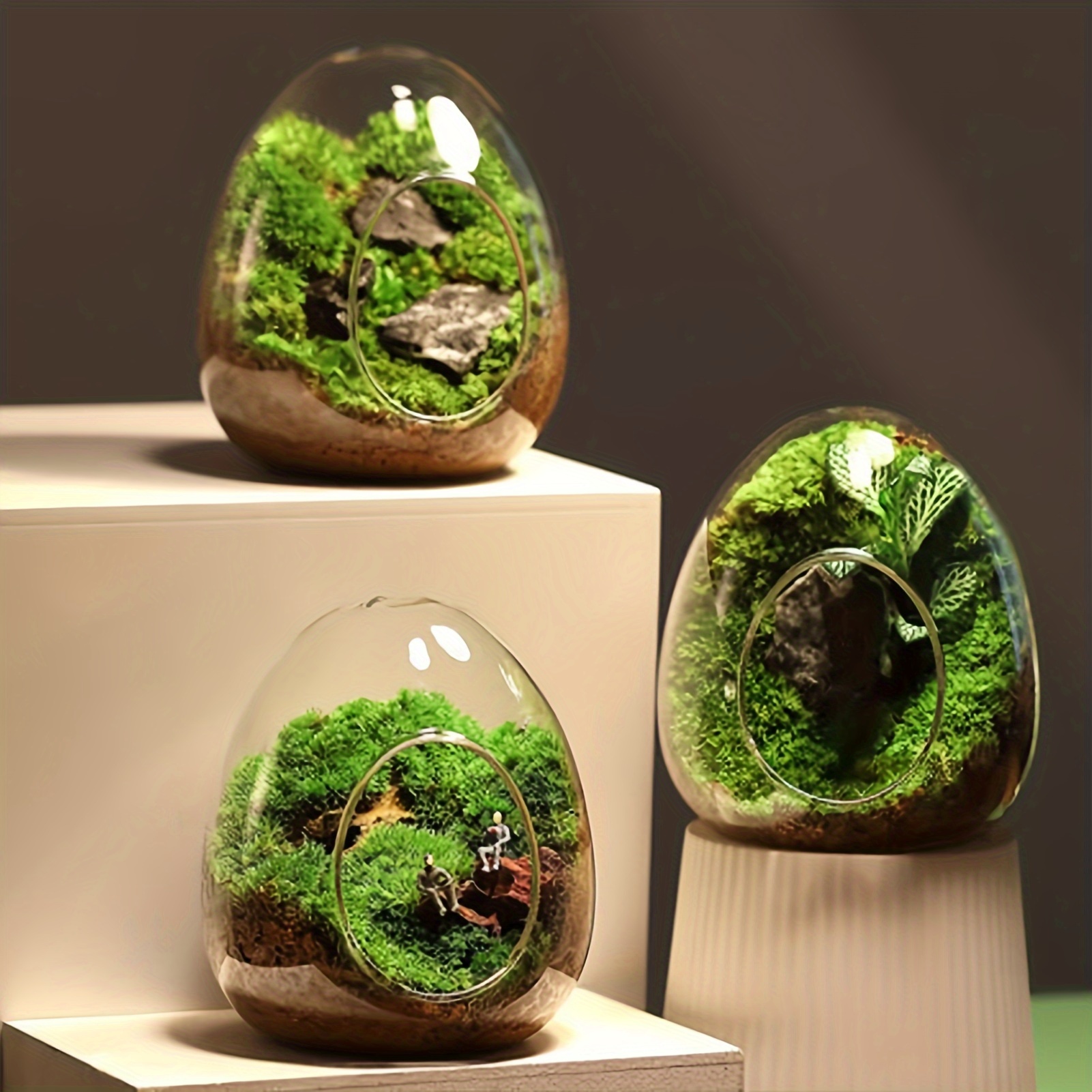 

1pc Modern Egg-shaped Glass Terrarium Vase With Moss And Miniature Animals, Floor Mounted Succulent Plant Display For Home Garden Wedding Decor