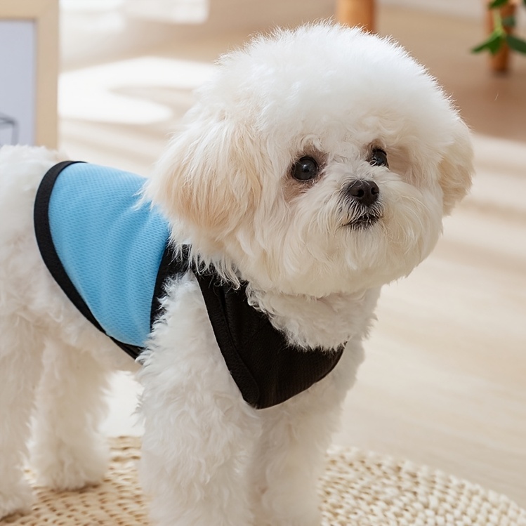 [Customized Colored Logo] - Pet Customizable - Breathable Mesh Vest - Suitable for Cats And Dogs - with Paw Print Design And D-Ring - for Leash Use - Available in Pink, Blue, Green, Lemon Yellow, And Light Purple - with 4 Sizes to Choose from