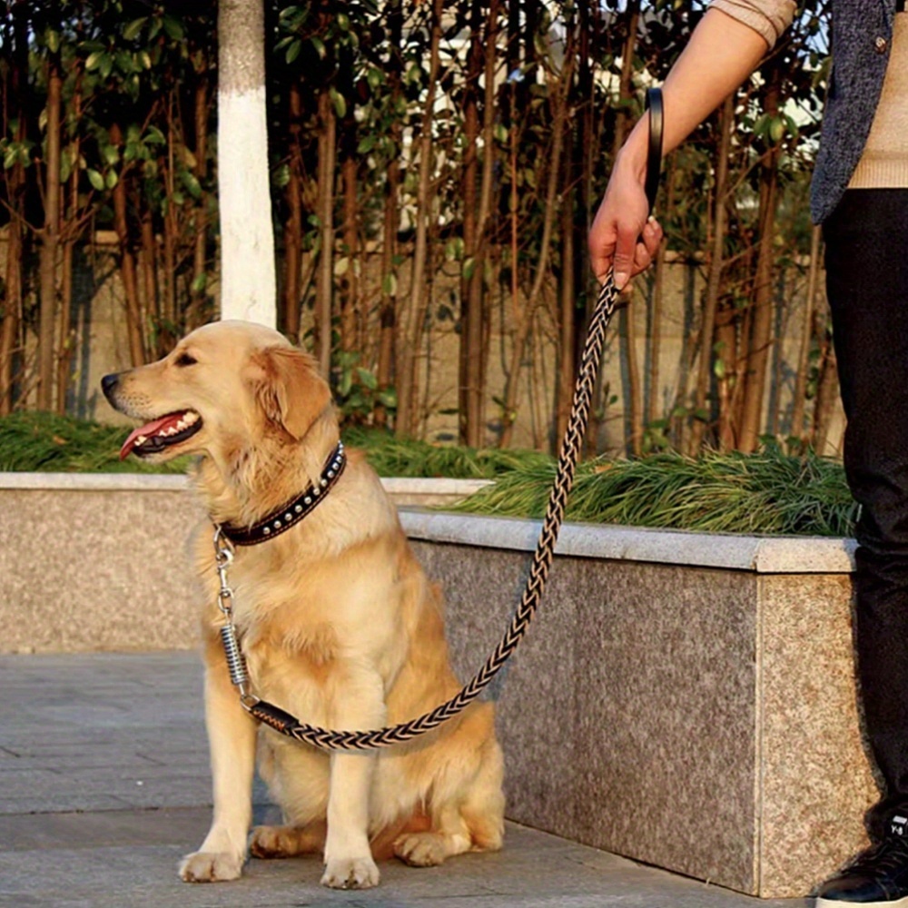Easter Dog Training Leash for Small to Large Breeds