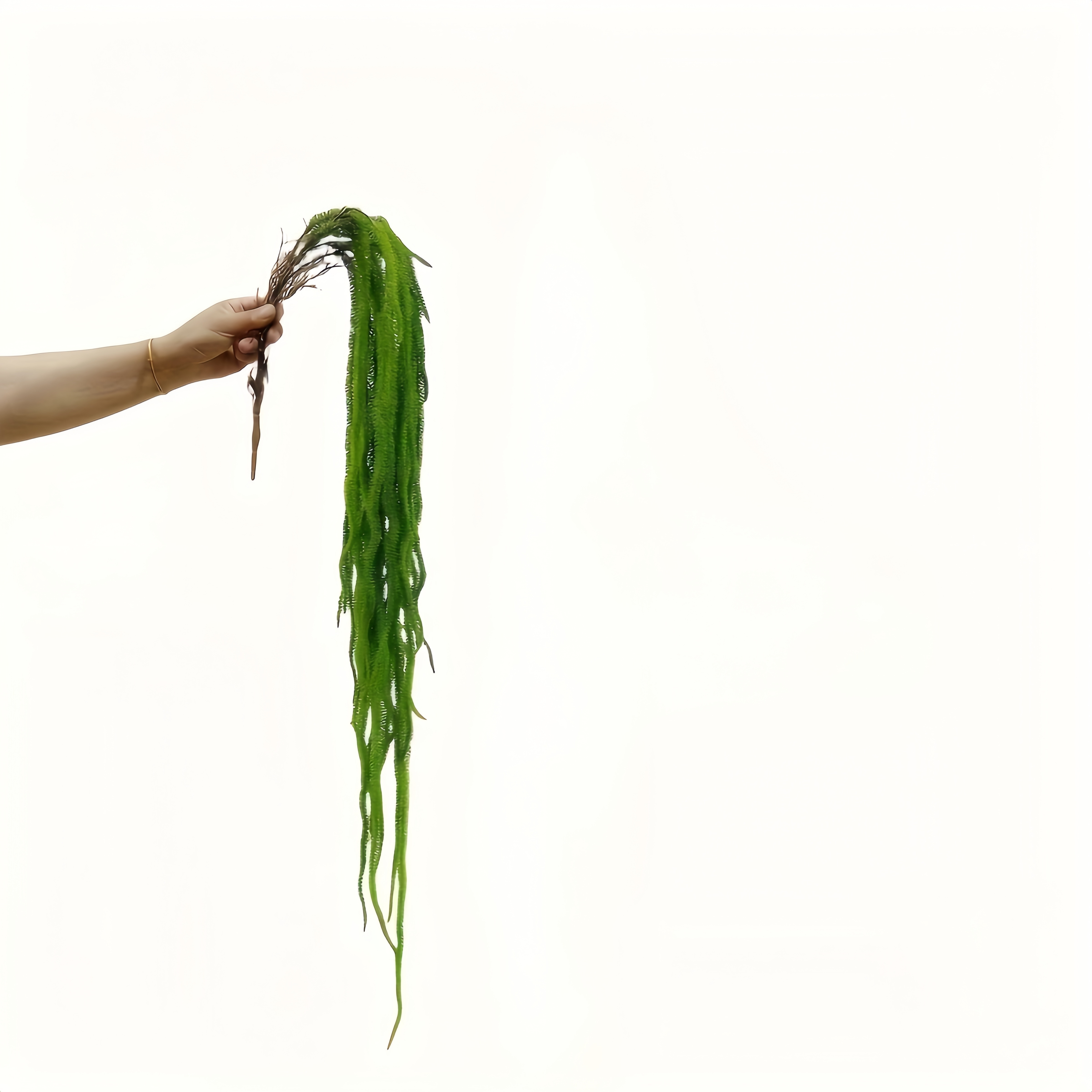 Image of 1pc Of Artificial Artificial Hanging Rice, 41.73 Inches, Very Suitable For Room Decoration, Birthday, Anniversary Wedding Bouquet, Indoor And Outdoor Decoration, Home Decoration, Hotel Decoration