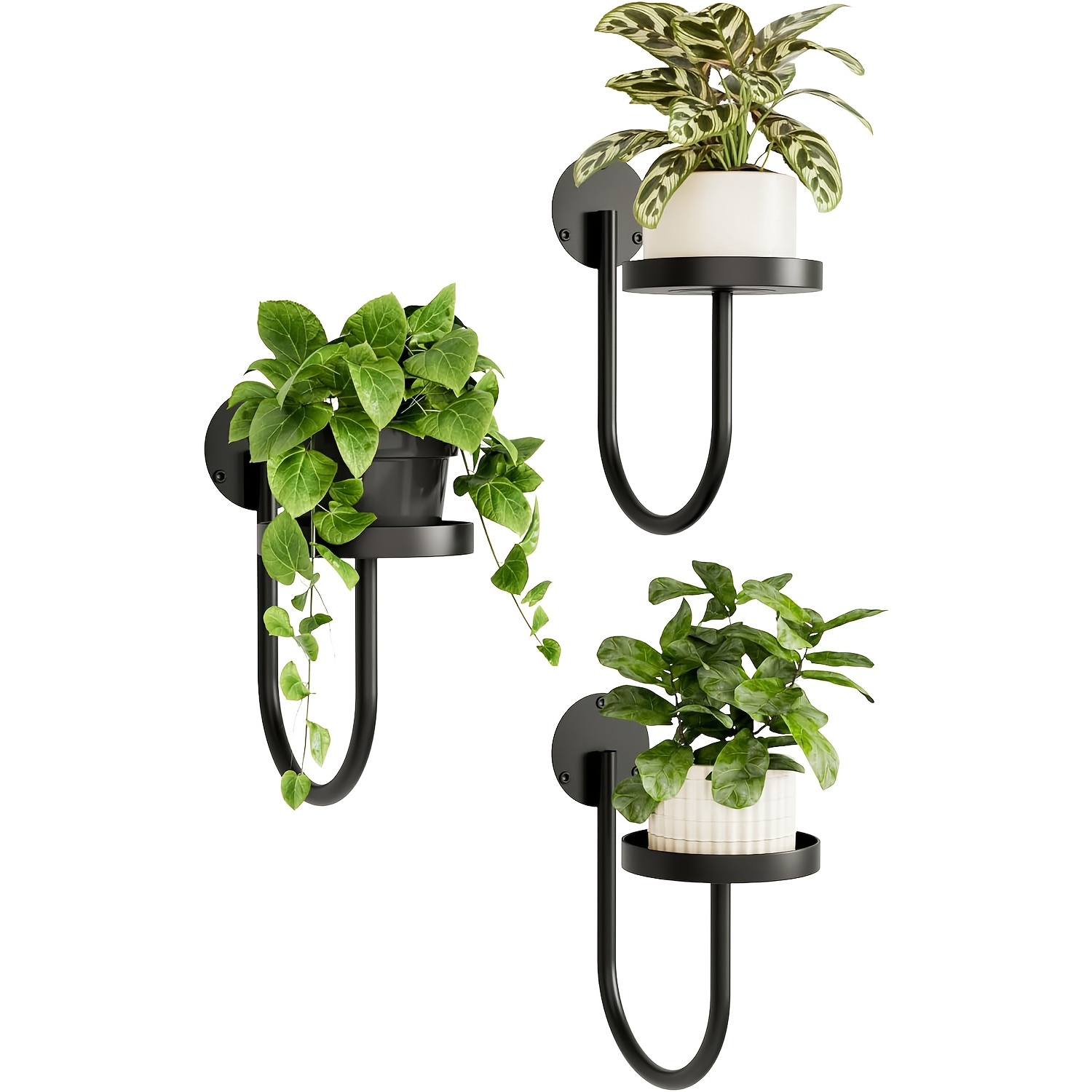 E-shop 3er-Set Schwarze Metall Wand-Pflanzenständer & Halter - Platzsparende Hängepflanzen für Innen/Außen mit Unregelmäßigem Formdesign, Klassischer